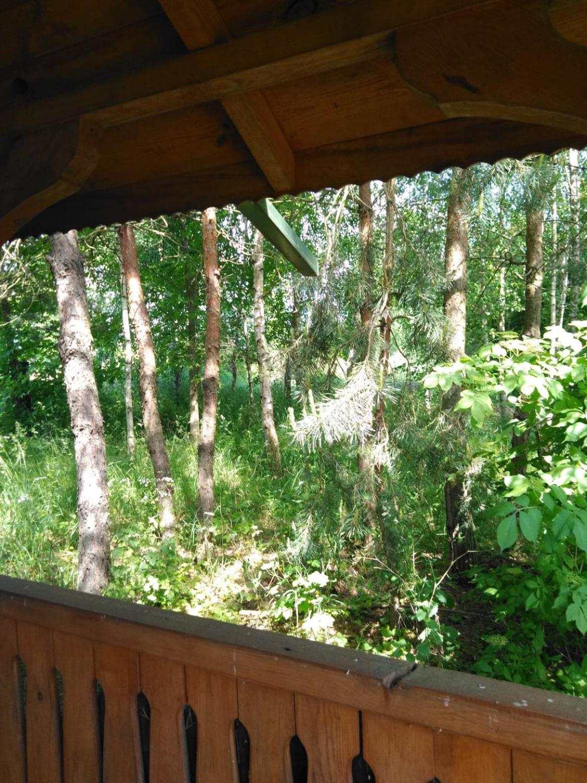 Noclegi Przy Kominku Miedzyles  Zimmer foto